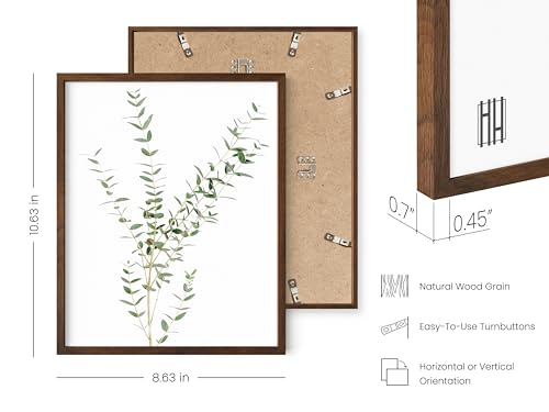 HAUS AND HUES Botanical Plant Wall Art - Set of 4 Prints, Floral Kitchen Decor, Eucalyptus Wall Art, Green Botanical Poster (Walnut Frame, 8x10) by HAUS AND HUES - Used condition - Image 3