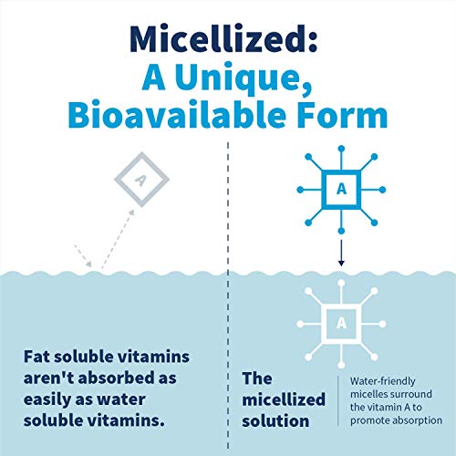 Klaire Labs Micellized Vitamin A Liquid 5000 Iu Vit A Per Drop - Vitamin A Palmitate & Beta Carotene Drops - Eye & Immune Support - Hypoallergenic Bioavailable Liquid Supplement (1 Oz / 600 Servings) #TOP4