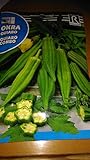 Semi Gombo quiabo Combo Abelmoschus Esculentus 70 Seeds Seeds:Seeds