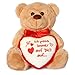 matches21 HOME & HOBBY Teddyb&auml;r mit Herz ICH Pass AUF Dich AUF Pl&uuml;schteddy braun 25 cm s&uuml;&szlig;es Valentinstag Kuscheltier Liebe Geschenk