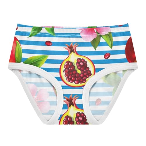Cotton Toddler Girls Underwear Blue Stripe Pomegranate Floral Fruits Panties for Girl Animal Undies Kids Briefs 2t