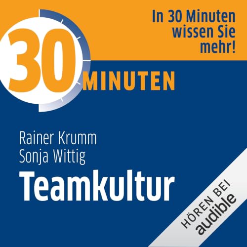 『30 Minuten Teamkultur』のカバーアート