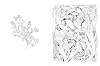 A Walk in the Woods: An Intricate Coloring Book #1