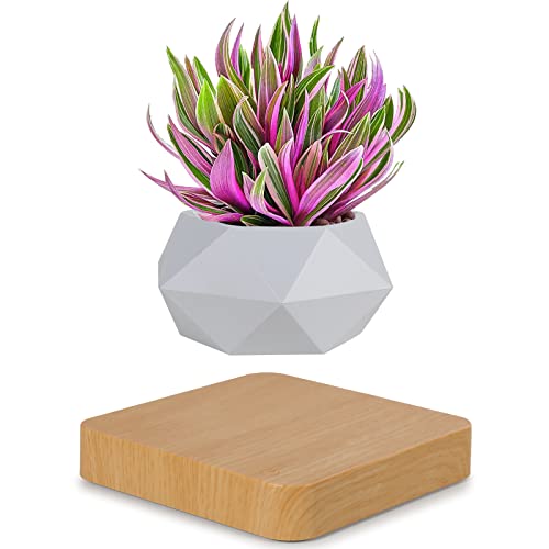 Levitating Air Bonsai Pot, Rotation Flower Planters, Magnetic Levitation Suspension Floating Pot, Potted Plant Desk Decor in Flower Pots & Planters from Home & Garden on (Light Color)