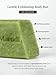 Marodi Body Scrub Bar Soap, 7 Oz (200g), Korean Exfoliating Body Wash Bar with Green Tea & Centella Extract, Subtle Fruity Citrus Scent, Deep Cleaning, Moisturizing & Refreshing, Sunrise Mist