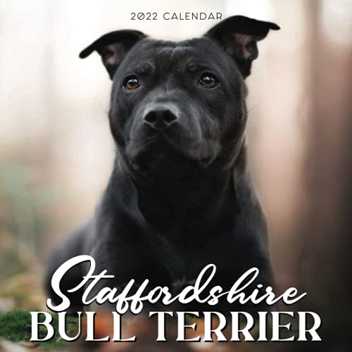 Staffordshire Bull Terrier 2022 Calendar: Beautiful Calendar with Large Grid for Note - To do list Gorgeous 8.5x8.5 Small Calendar Non-Glossy Paper