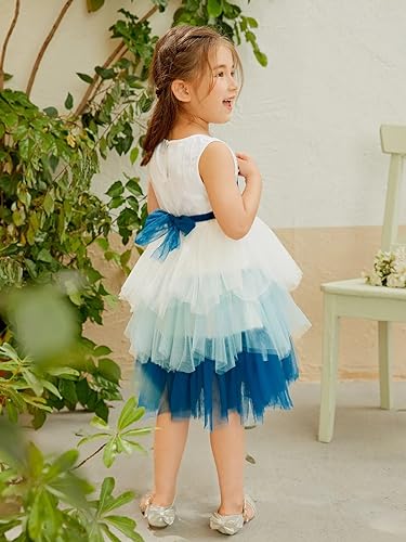 Image of TAGAS Girls Princess Party Dress | Mesh Layered Fit & Flare Frock for Girls | Pearl Embellished Tulle Dress | Birthday Dressess | Wedding Kids Fancy Frock (3-11 Years)