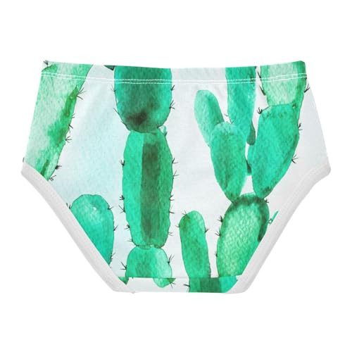 Colorful Toddler Underwear Custom 2t Cotton Panties for Girl Green Cactus Briefs Undies Kids2