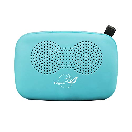 Image of PAGARIA Portable Radio & Alarm Clock Bluetooth Speaker with Remote /Alarm /USB /am /FM /SD Card /AUX /Bluetooth Recording /mic Recording. (Blue, Standard - SAN101)