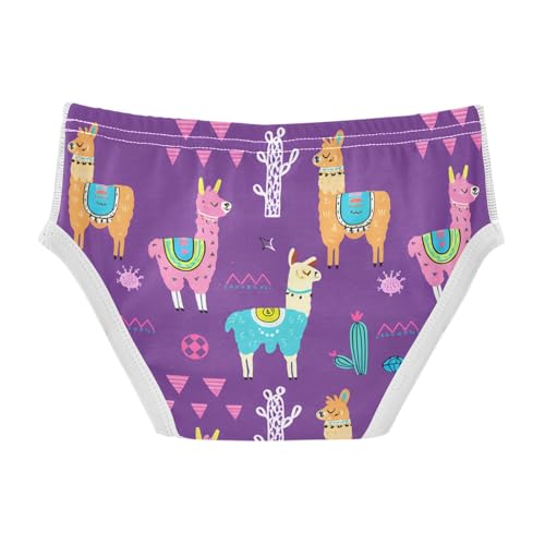 Colorful Llamas Cacti Purple Toddler Boy's Underwear 2T 202c12232