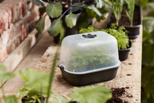 elho Green Basics Grow Tray 24 - Accessory for Indoor, Outdoor, Grow Your Own & Accessories - Ø 24.0 x H 6.0 cm - Black/Living Black - Image 7
