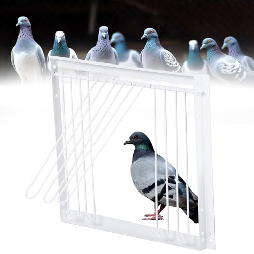 MOGOULUA Vogelkäfig avec porte en T Trap pour pigeons, animaux domestiques, oiseaux, fenêtre unidirectionnelle, porte cage à oiseaux pour pigeon errant,...