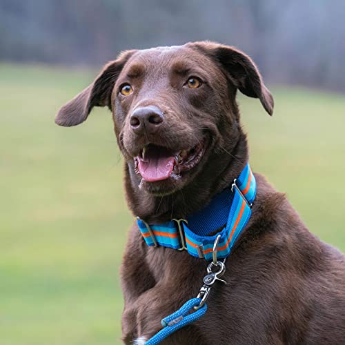 If It Barks - 1.5\" Martingale Collar for Dogs - Stripe Design - Adjustable - Strong and Comfy Nylon - Ideal for Training - Made in USA - Medium, Hiker - Thumbnail 3