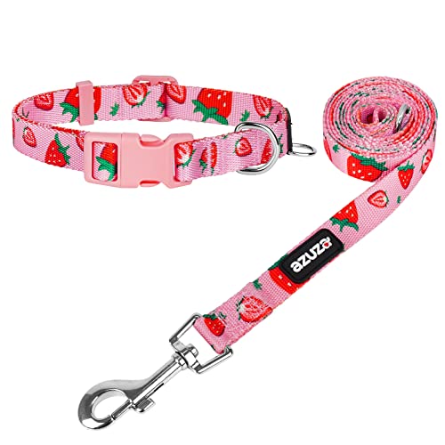 azuza Dog Collar and Leash Set Strawberry Pattern on Pink Nylon Collar and Matching Leash, Great Option for Small Dogs