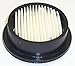 Campbell Hausfeld ST163100AV Filter Element