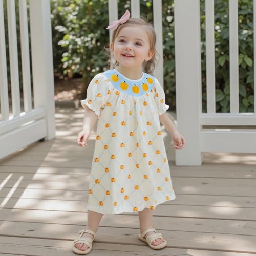 Toddler Baby Girl Smocked Halloween Dress Puff Sleeve Pumpkin Embroidery Dresses Halloween Outfit for Girls3