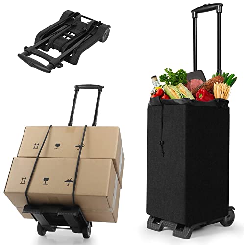 Top 10 Best Shopping Cart For Groceries Reviews & Buying Guide Katynel