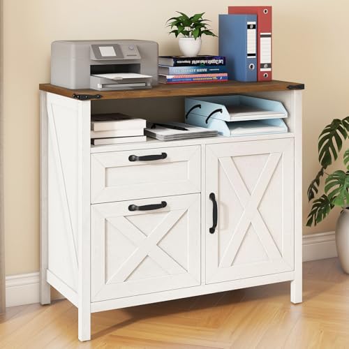 Lateral File Cabinet with 2 Drawers and Door Farmhouse File Cabinet for A4/Letter Size Hanging...