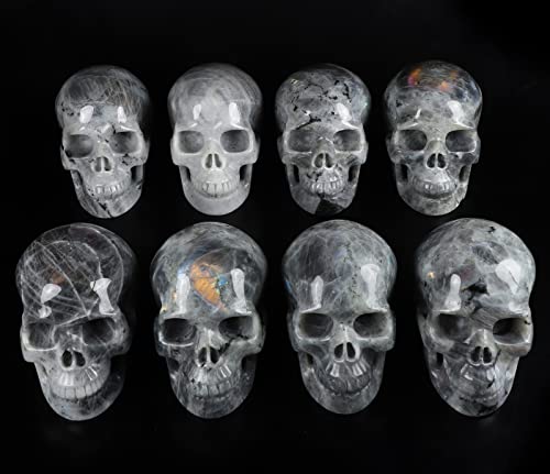 Skullis 5.0” Labradorite Crystal Skull, Hand Carved Gemstone Fine Art Sculpture, Reiki Healing Stone Statue. #TOP6