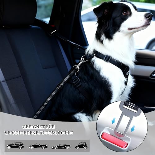 Viwind Hunde Autogeschirr, verstellbares 2-in-1-Design, reflektierende Streifen und stoßdämpfende Kordel. Universalschnalle passend für alle Hundegrößen und alle Automodelle. (Schwarz)