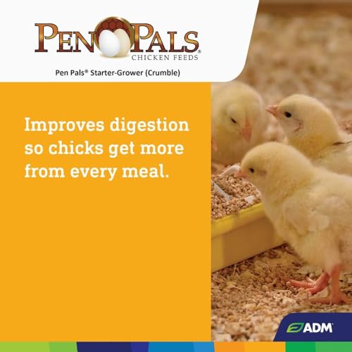 Alimento Chick Feed Starter 5 lb miniatura 5