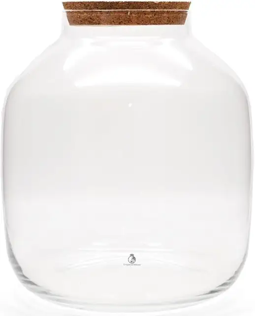 Extra Large Glass Terrarium Jar with Cork Lid - 38cm Indoor Plant Container