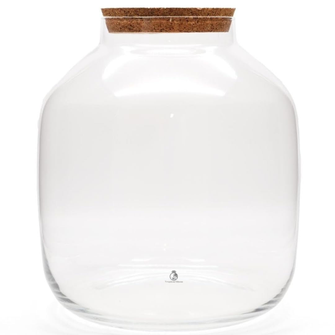 Extra Large Terrarium Glass Jar with Cork Lid, H: 38cm - Closed Terrarium Container for Indoor Garden, Big Glass Jars for Plants, Terrarium Glass (with Standard Lid, Glass Only)