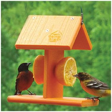 Audubon Naggo2 Going Green Oriole Bird Feeder