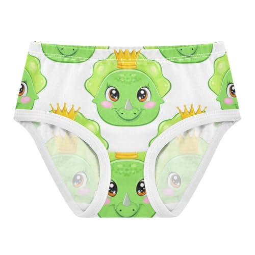 Flower Girls Underwear Toddler 2t Cotton Panties for Girl Cute Cartoon Dinosaurs Eyes Briefs Kids Undies
