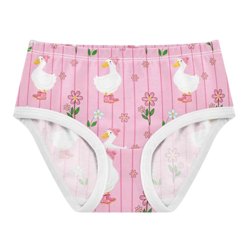 White Ducks Pink Flowers Toddler Girls's Underwear 2T 202c1620