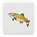 Gone Fishin Brookie by Elyse DeNeige, 24x24-Inch Canvas Wall Art