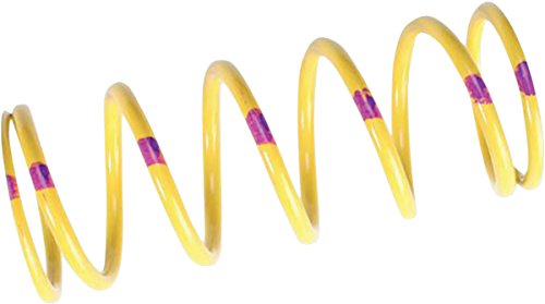 Team Industries Primary Clutch Springs Steel 210141-013