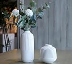White Vases Home Decor Centerpieces Modern Boho Ceramic Set of 2 for Flowers Pampas Grass Table Mantle Kitchen(Matt White)