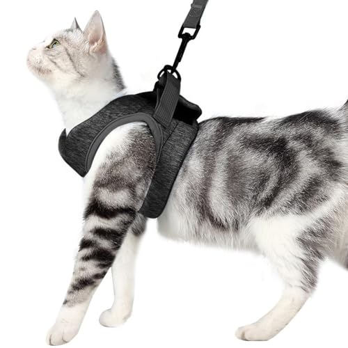 XFSRG Pettorina Gatto Comodo e Traspirante Previene la Fuga Chiusura in Velcro Resistente Regolabile Accessori per Animali Domestici