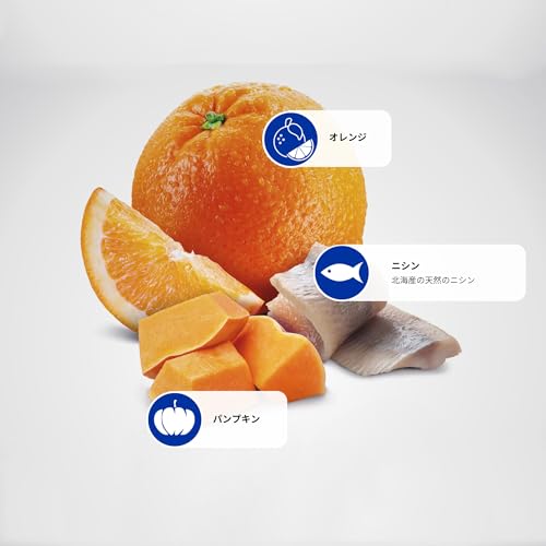 Farmina N&D Ocean Adult Pellets Katzenfutter(Trockenfutter, mit hochwertigen Vitaminen und natürliche Antioxidantien, ohne Mais, Zutaten: Hering und Orange, Portionsgröße: 1,5 kg)