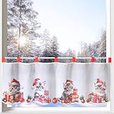 scheibengardine katzenmotiv HxB 45 x 120 cm für Fensterbreiten von 60-110 cm I mit Schlaufen - geeignet für alle Gardinenstangen bis 21 mm Durchmesser