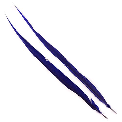 Zucker 3pc Bleached - Dyed Pheasant Feather Craft Supplies - 25-30 inch (Regal Purple) steampunk buy now online