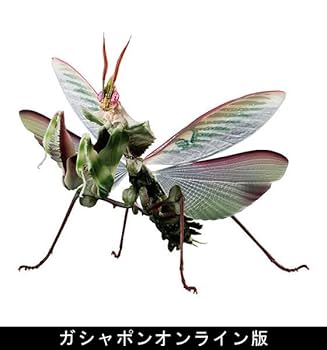 いきもの大図鑑アドバンス ニセハナマオウカマキリ　 メス成虫　オンライン版 いきもの大図鑑アドバンス ニセハナマオウカマキリ｜ガシャポン