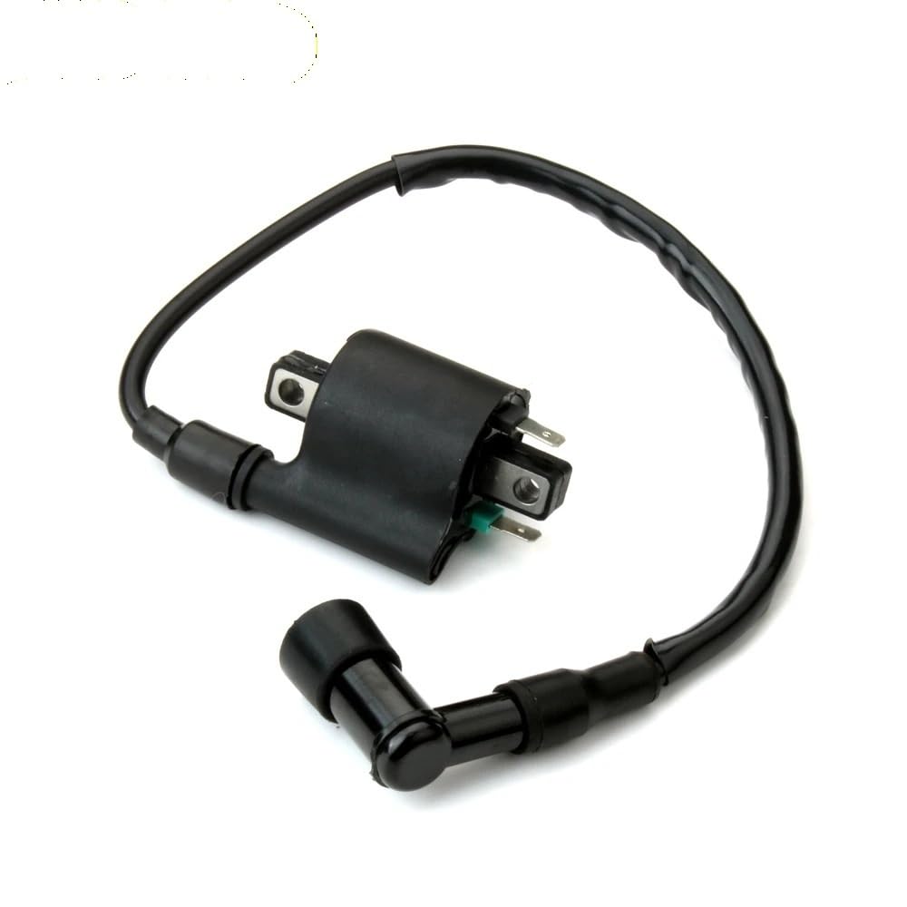 Bobina de encendido de motocicleta CBF125 CBR125 CR250 repuesto 6