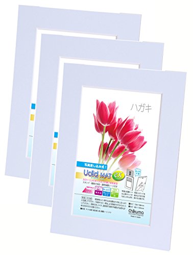 Chikuma フォトフレーム UclidマットEX ハガキ シェアブルー 3冊セット 30038-0