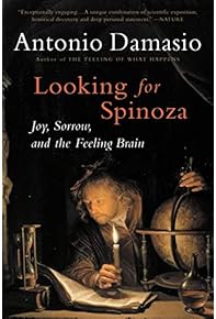 Amazon.co.jp: Neuroscience - Neurology: 洋書