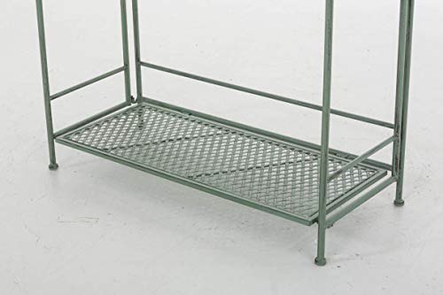 CLP Scaffale Porta Piante Extra-Large Shine i