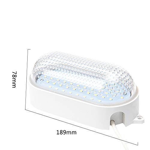 100Pcs Multicolor 4pin 5mm RGB Led Diode Light Lamp diffused Tricolor Round Common Anode LED 5 mm Light Emitting Diode