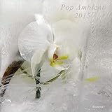 Pop Ambient 2015