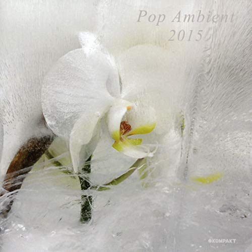 Pop Ambient 2015 / Various