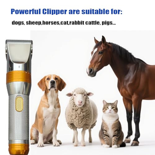 Tondeuse professionnelle pour animaux robuste avec ciseaux de coupe