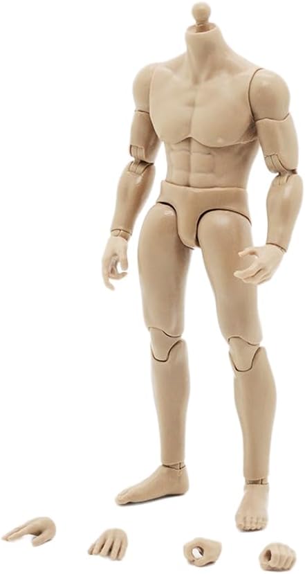 Fremego 1/12 Scale Male Body,6inch Male Joint Flexible Soldier Miniature Action Figure Body Collectible (2pcs Waist)
