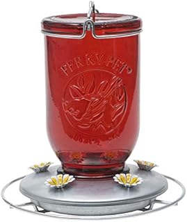 Perky-Pet 786 Red Mason Jar Glass Hummingbird Feeder