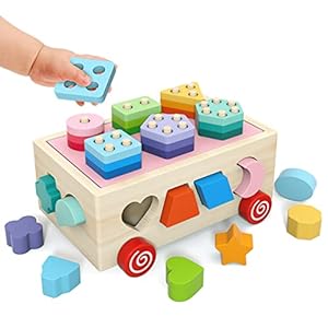 BEERYFUN Wooden Educational Montessori Toys for 1 2 3 Year Old Baby Girls Boys, Wooden Shape Sorter Toddler Toys Birthday Gift for Boys Girls Stacking Games
