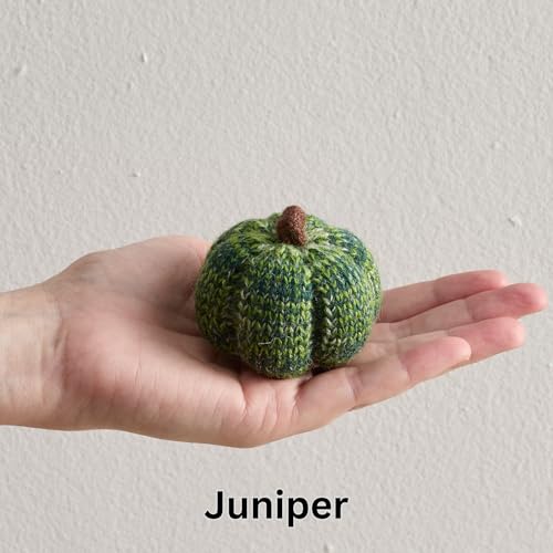 Image of Cozy Mini Knit Pumpkins Set of 5 (Juniper 2.5 Inch Set) | Fall Home Decor, Table Top Bowl Filler, Gift for New Apartment